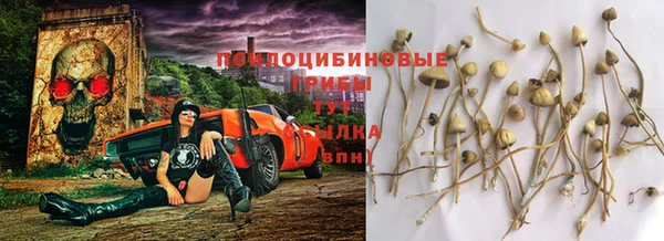 первитин Одинцово