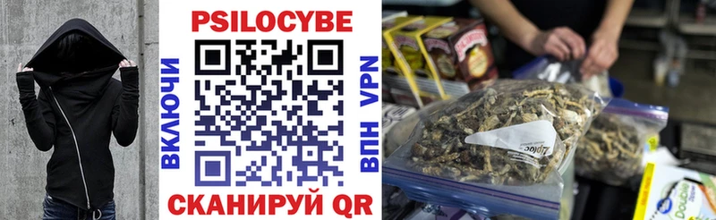цены   Аткарск  omg ссылки  Псилоцибиновые грибы прущие грибы 